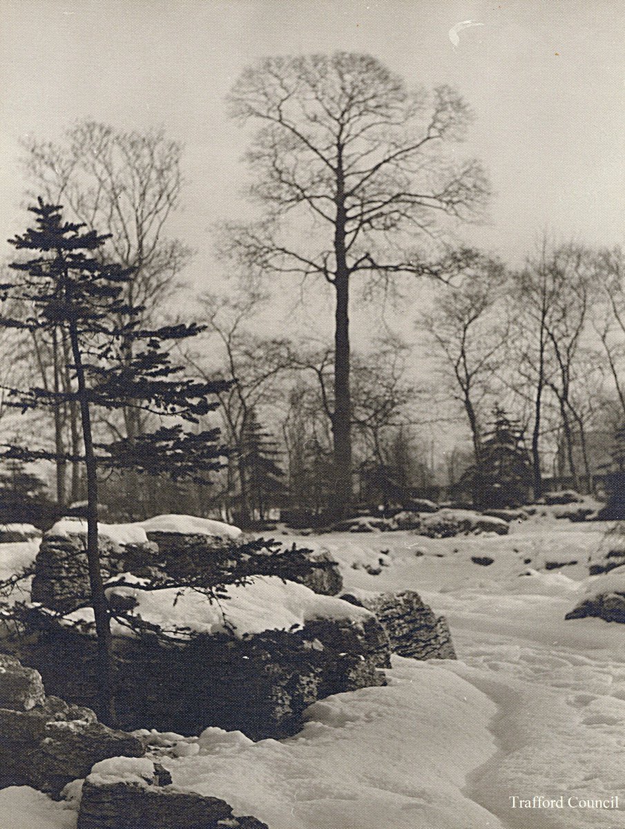 𝟐𝟎𝟐𝟓 𝑨𝒓𝒄𝒉𝒊𝒗𝒆 𝑨𝒅𝒗𝒆𝒏𝒕 𝑪𝒂𝒍𝒆𝒏𝒅𝒂𝒓
𝐃𝐚𝐲 19
Rock Gardens in Winter Longford Park Stretford 1951 Trafford Local Studies collection cat ref TL4860
Follow along and share your memories
#stretford #longfordpark #christmas #adventcalendar #advent #archives #winter