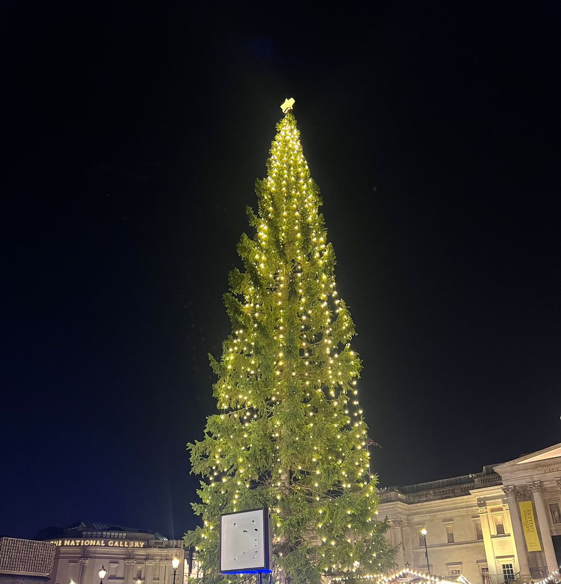Trafalgar Square Tree tweet media