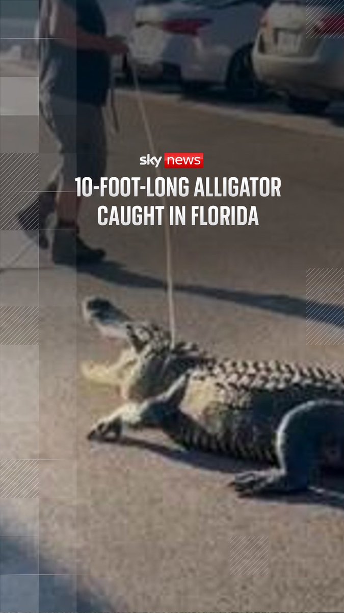 Any one else's big toe always feel cold ?, image size:675x1200