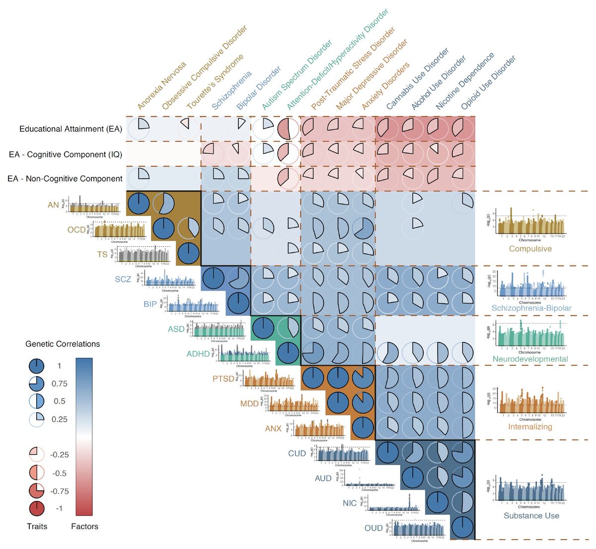 Abdel Abdellaoui tweet media