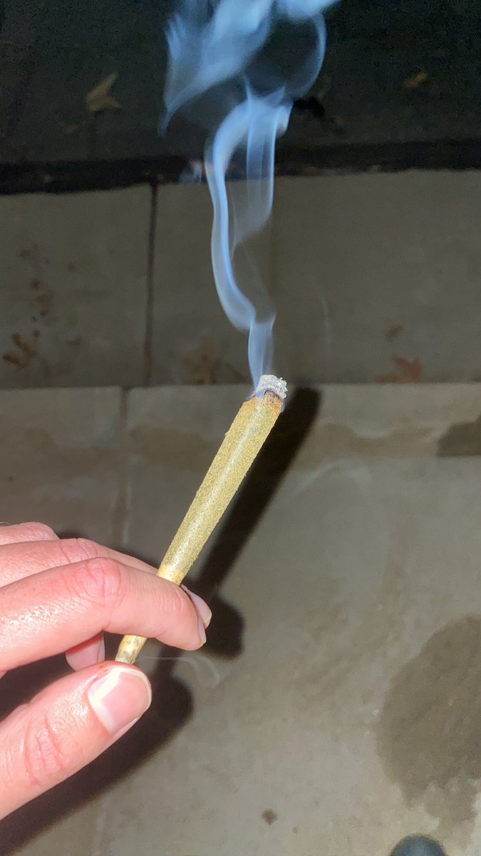 CJNICKOLAS's tweet photo. Preroll got me #GirlHigh https://t.co/PCNl4nxxaX