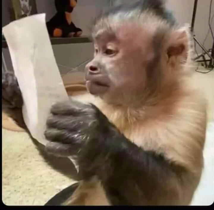 galaxieshopper's tweet photo. Me reviewing hundreds of posts that @ayayaboyz tagged me (I only open this app once a month) https://t.co/WCyJXusfGb