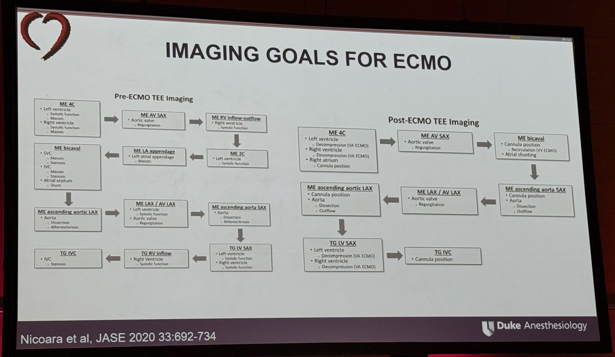 slumberbell's tweet image. Echo-guided approach of weaning temporary #MCS before decannulation by @nicoa002 

📍Hemodynamics
- CVP ≤15 mmHg
- MAP ≥65 mmHg
- Pulse pressure ≥30 mmHg
- PAM:CVP ≥1.5

📍Echocardiography
- LVEF ≥25%
- No LV/RV distension
- No stasis
- Aortic VTI &amp;gt;10 cm

📍✅ if stable,