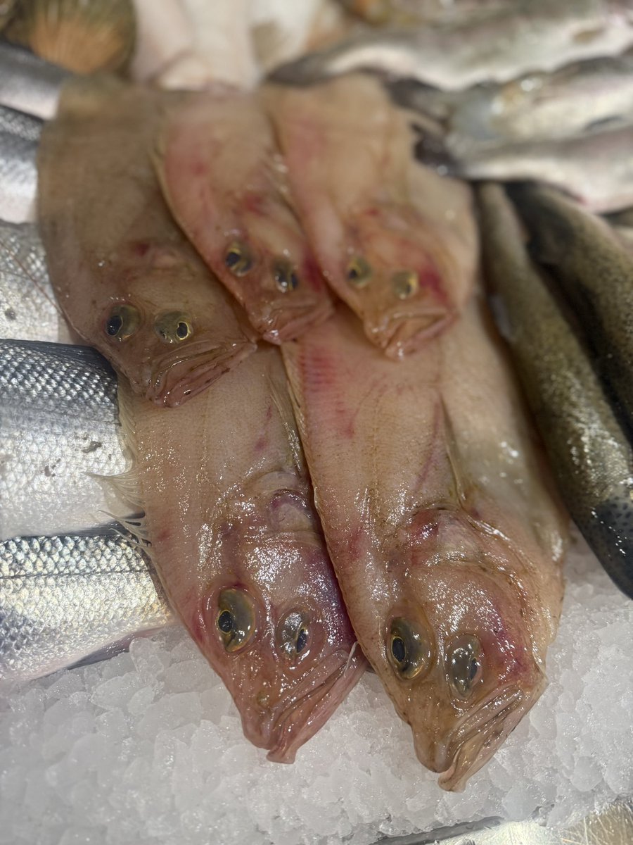 Ellis and Jones Fishmongers tweet media