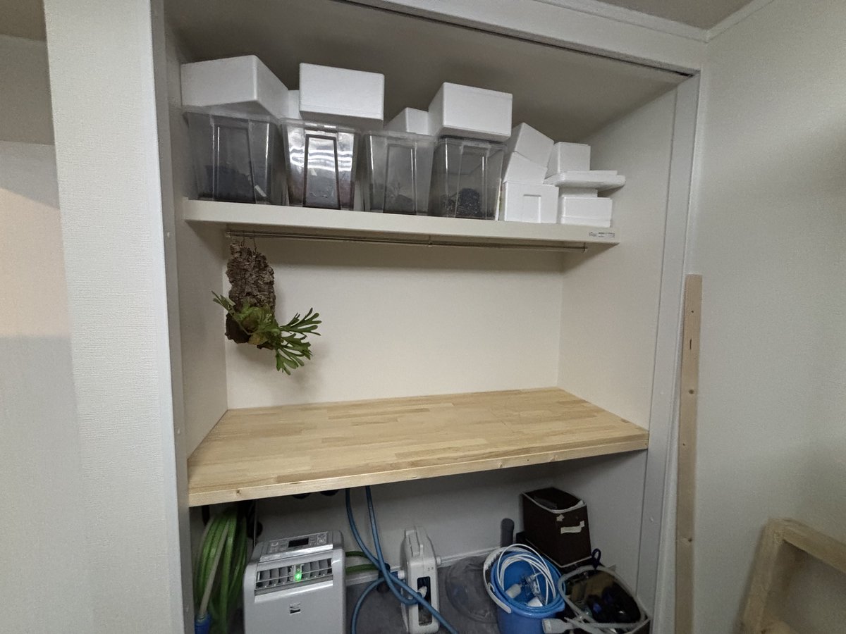 evisuke0's tweet image. 部屋に排水と給水を立ち上げ
まだまだ終わらない部屋作り！
部屋内で排水あるのほんとに便利👍