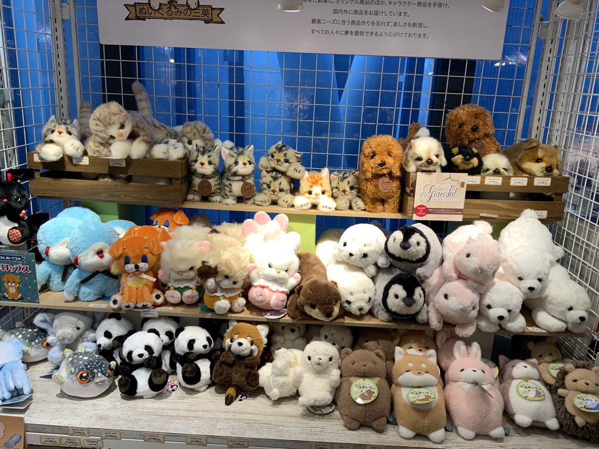 ぬいぐるみの童心【公式】🥺 (@Dousin_kawaii) on X