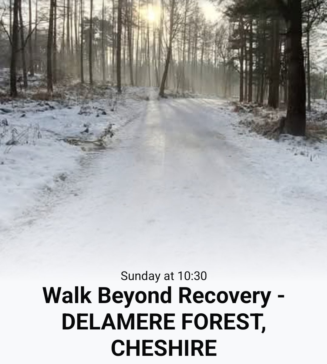 The Beyond Recovery Project tweet media