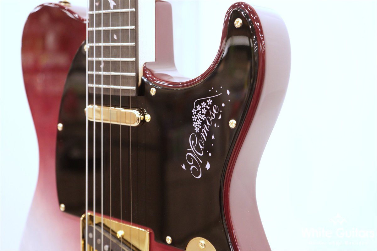 Deviser One Day Guitar Show2025】 MOMOSE MT-YOSHINOZAKURA WSE'25/E