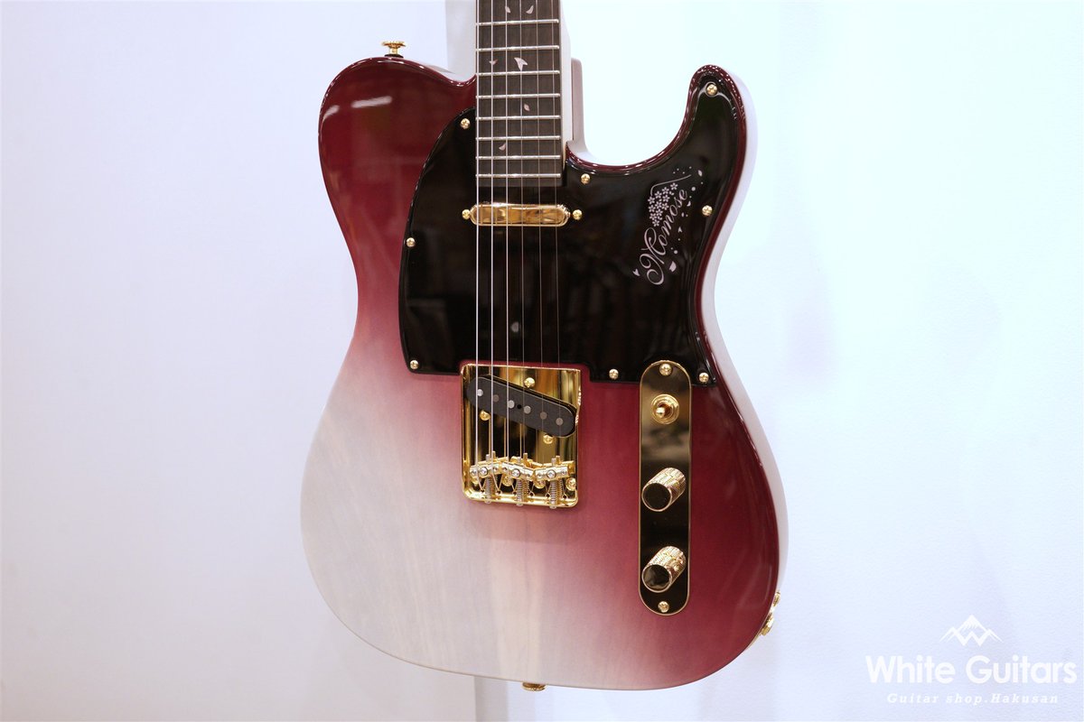 Deviser One Day Guitar Show2025】 MOMOSE MT-YOSHINOZAKURA WSE'25/E