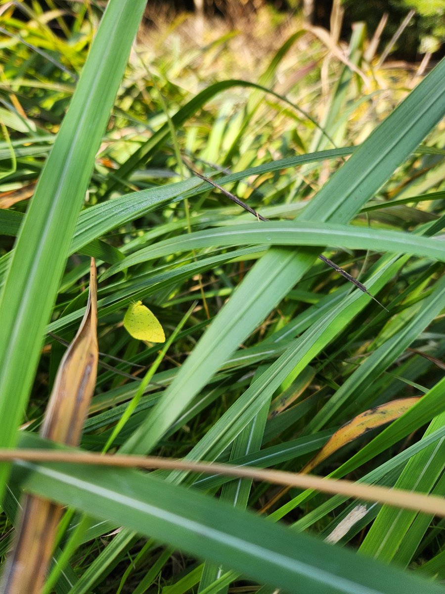 あたなか (@Atanaka1156) / Posts / X