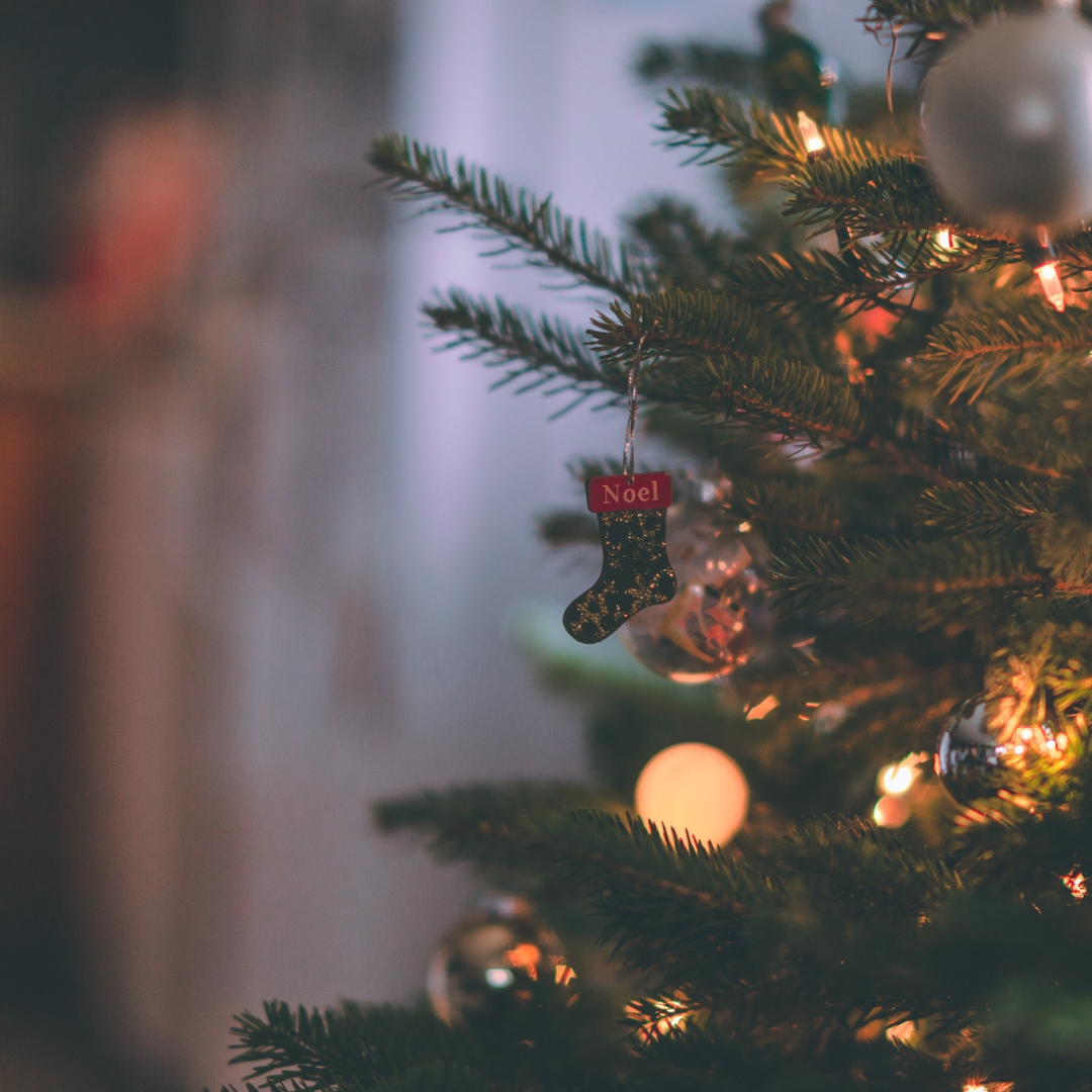 GreenDocs_Kent's tweet photo. 🎄 Decorating for the holidays?

Switch to LED lights + use a timer = cosy sparkle, lower bills.

Your wallet (and the planet) will thank you!

#EcoChristmas https://t.co/1PPVBf3Ad9