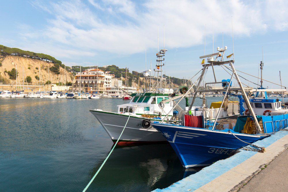 CalellaAC's tweet image. Decidir qui treballa i qui no des d'un despatx de Brussel·les amb un bon sou assegurat i unes bones dietes a costa dels contribuents és molt senzill. Tot el suport als pescadors catalans. #SalvemCatalunya