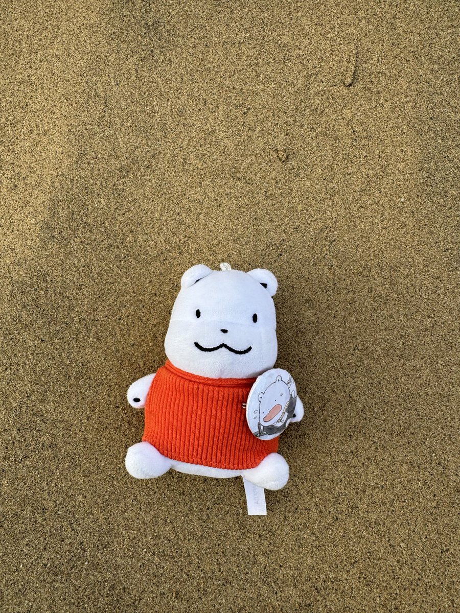 これは すなあそびしようと ねころんだ ふわふわのくま (※なお この