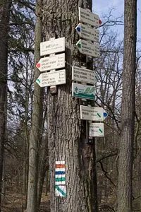 Danthedrifter55 tweet media