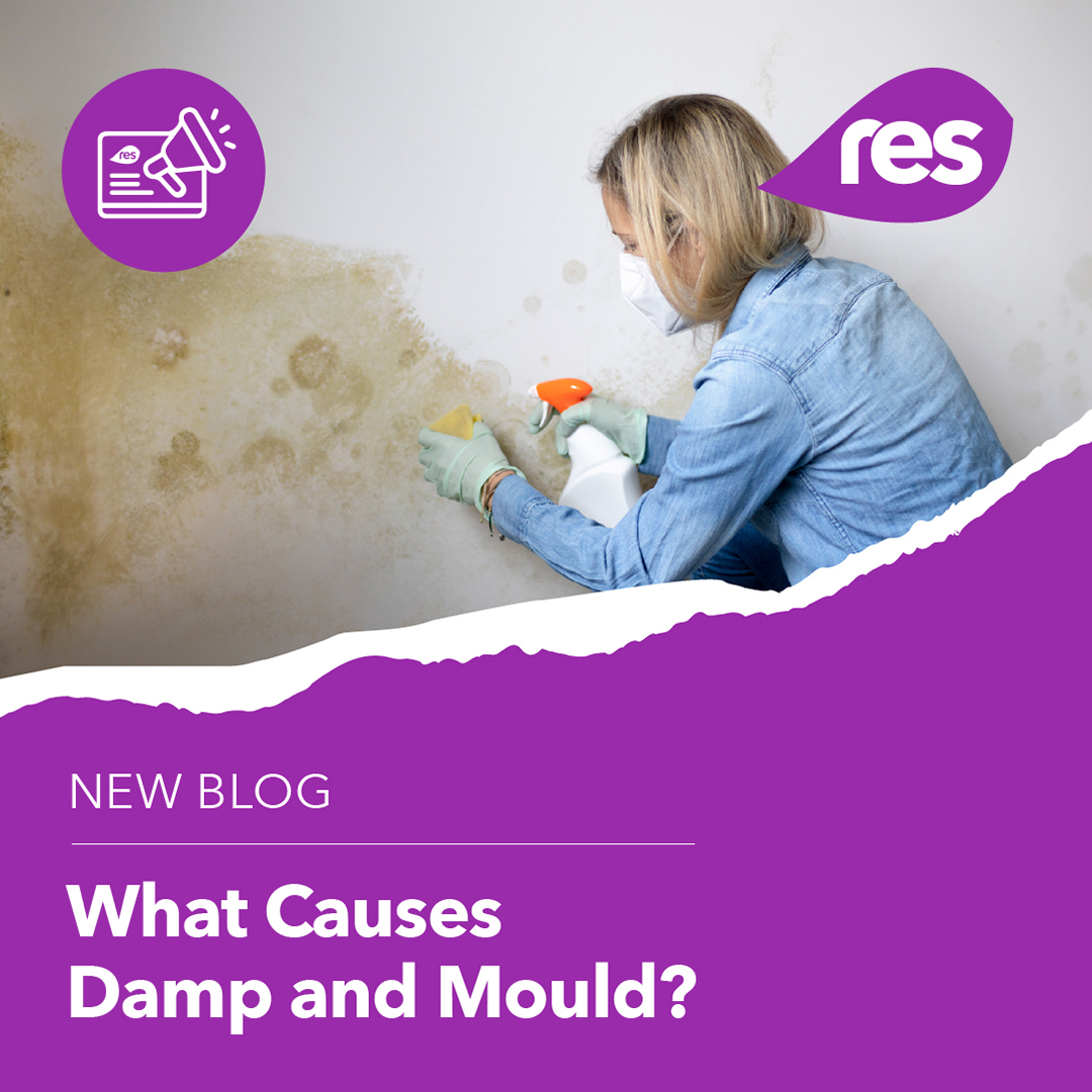 Simply_RES's tweet photo. 🏠 Our blog explains common causes, health risks and how ventilation and insulation can help you tackle the problem before it grows. https://t.co/sJ7SdtxNCY

#RES #EnergySavings #SaveOnBills https://t.co/PR2NnfLbxK