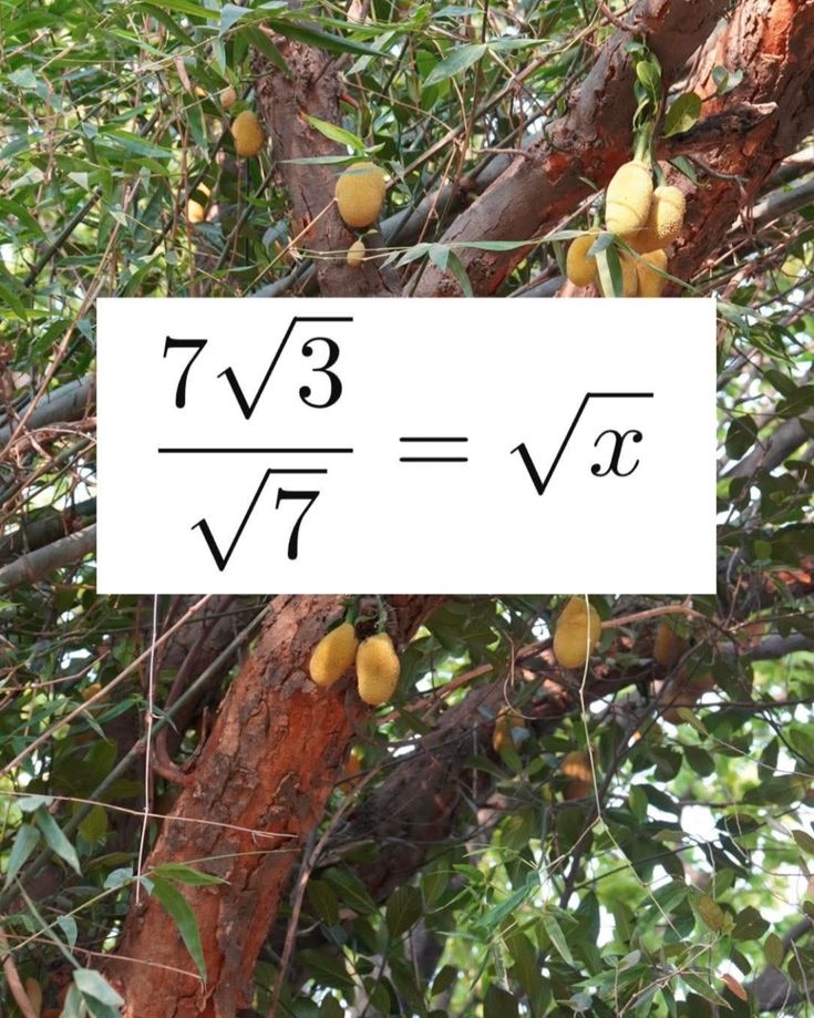 sonukg4india's tweet image. #Simplify #mathematical image