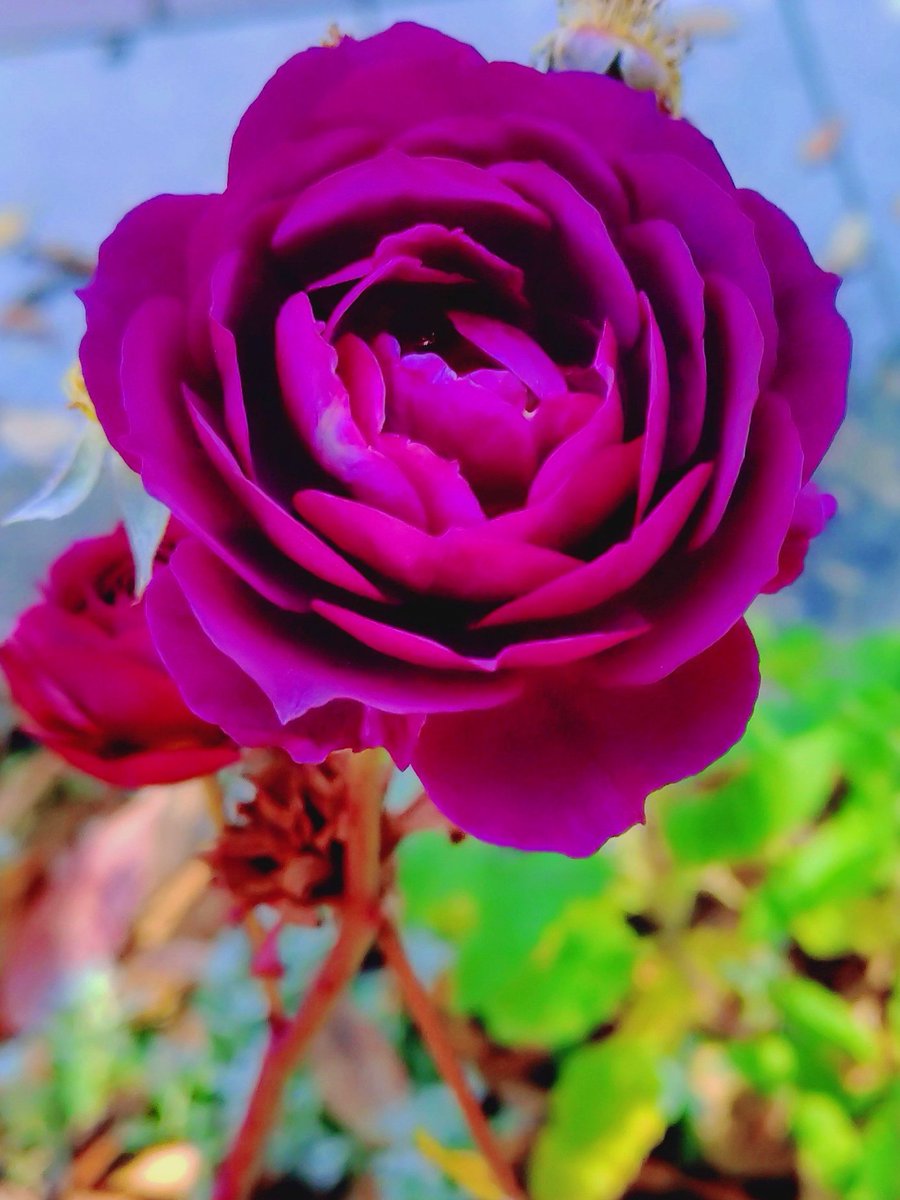 barabara (@kNwhDJeJcX4Mgb1) / Posts / X