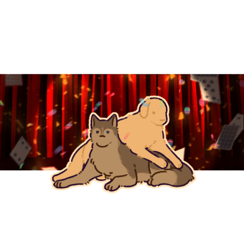 라꾼⭕ tweet media