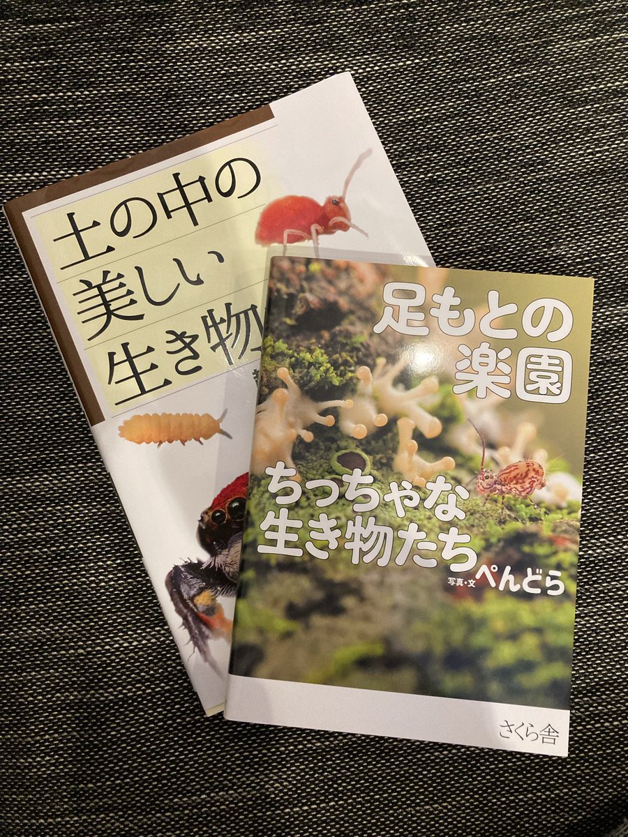 Hanamusic （ハナムシック） (@Hanamusic_toy) / Posts / X