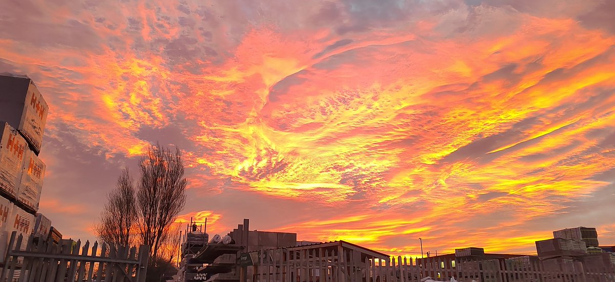 Stephen Temple tweet media