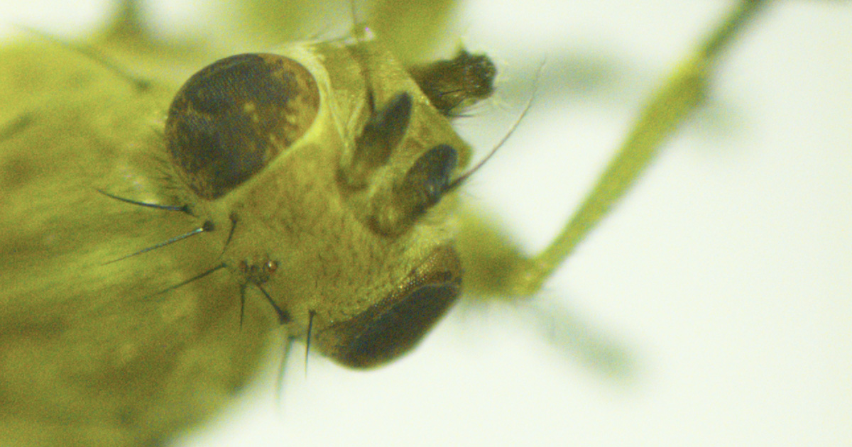 Baker Consultants - Ecology and Ecoacoustics tweet media