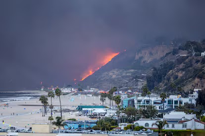 MyLovelyPlanet1's tweet photo. Today we're heading to Los Angeles in the Santa Monica Mountains, where fire-scarred landscapes are being reborn.

With our partner SAMO Fund, we’re restoring California’s iconic mountains one hand-watered seedling at a time.

What makes this partnership special? 

It’s restoration done with extraordinary care.

Every step is hands-on: from hand-collecting acorns with wooden sticks and tarps, to protecting each young tree with wire cages and milk cartons, to watering every seedling weekly with 2-gallon cans.

This is restoration at its most meticulous, human, and dedicated.

🎯10,000 native trees to be planted by 2026.

💚Play and plant YOUR tree in LA

👉on IOS: https://t.co/mP9KSjcaNq 
👉on Android: https://t.co/jhl86yw6uM