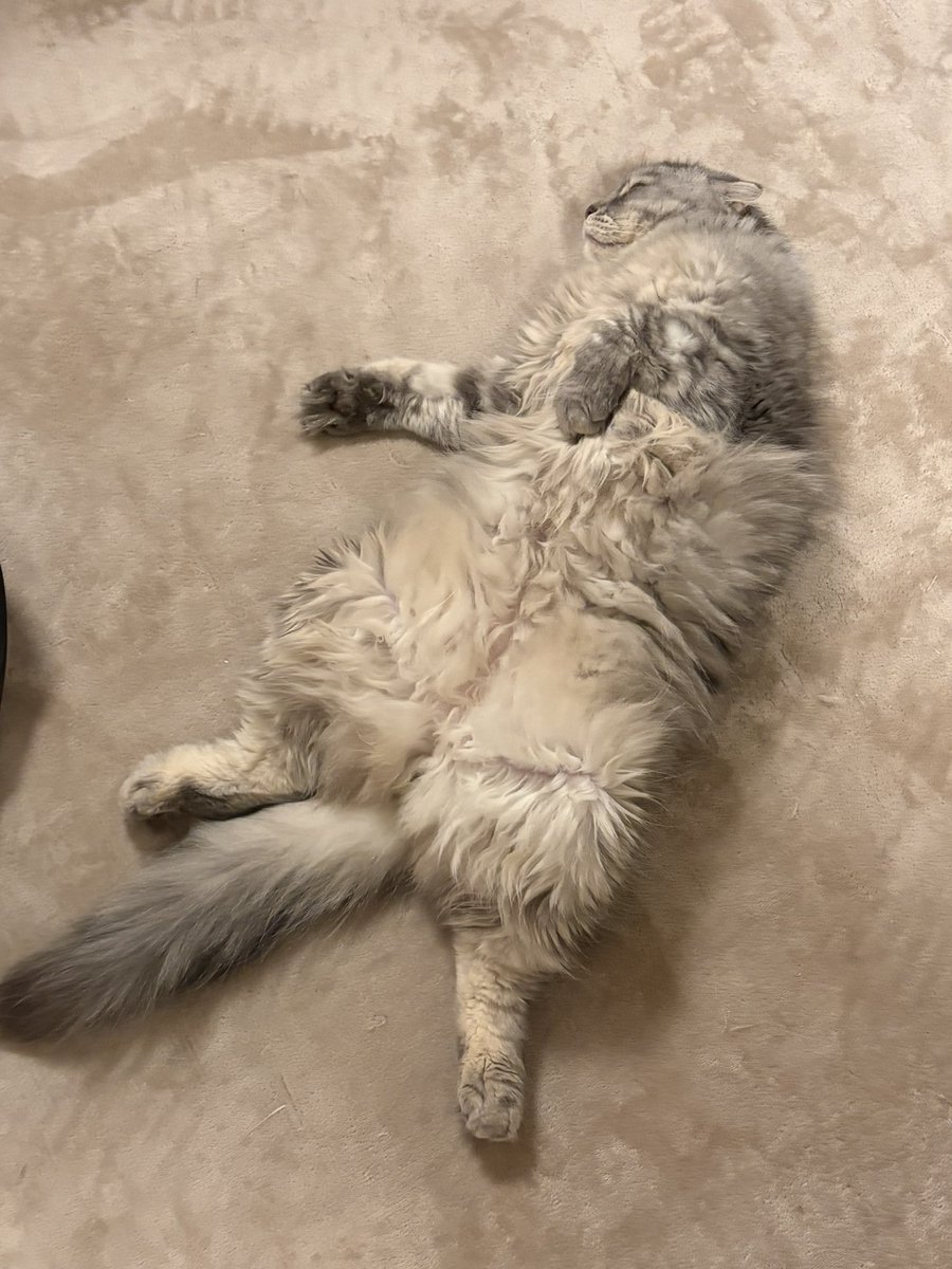 もん (@77777monmon) / Posts / X