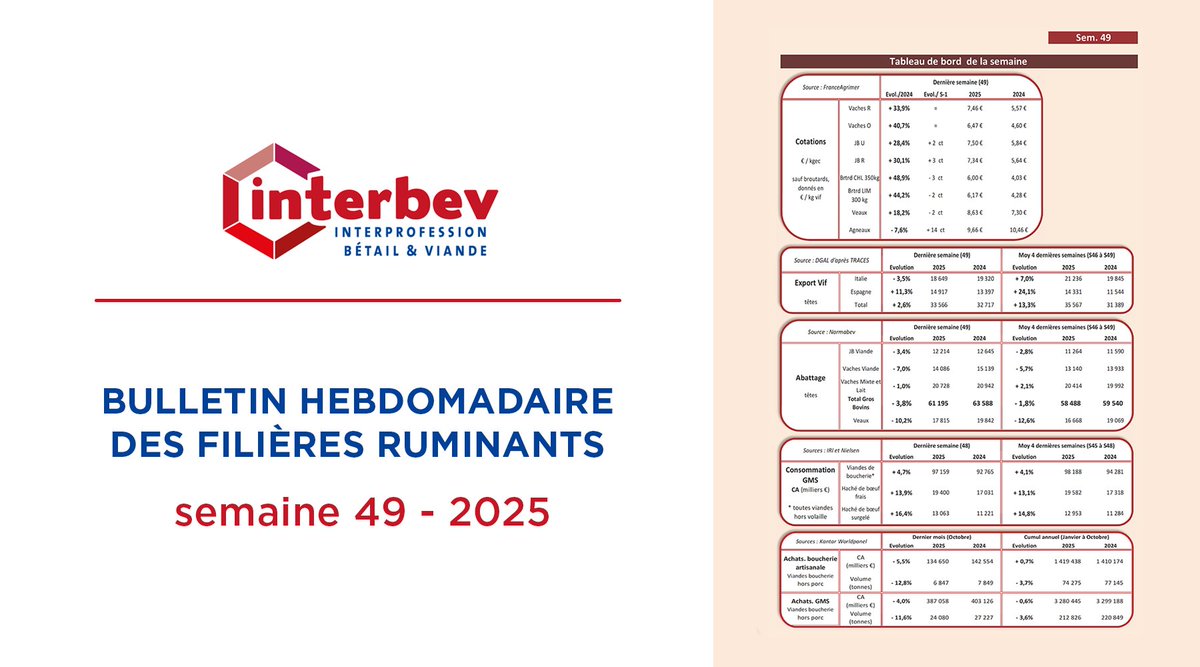 [Bulletin Hebdo des Filières Ruminants]
Le RDV #Économie INTERBEV : consultez les chiffres-clés de la filière #Élevage et #Viande pour la semaine 49/2025.
➡️ bit.ly/Interbev_bh_49…