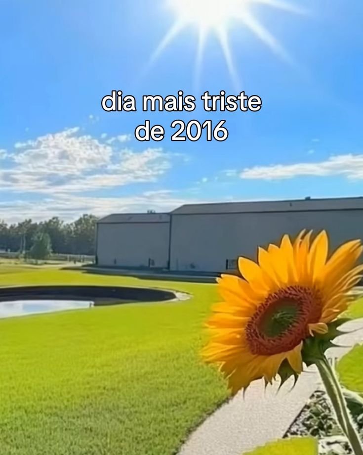 TerrorCotidiano's tweet image. 