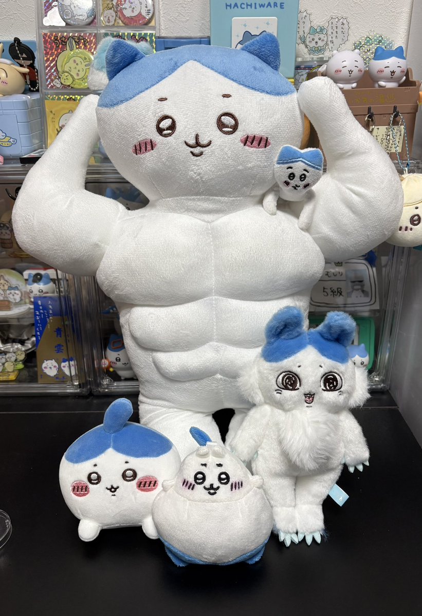 にゃっ太 (@427neko2) / Posts / X