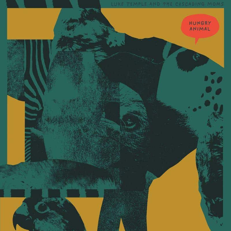 normanrecords's tweet photo. PREORDER: 'Hungry Animal' by Luke Temple

Solo album from the Here We Go Magic member and singer-songwriter.

@westernvinyl
https://t.co/1J4NZojtC5 https://t.co/nFHfrcyaf2