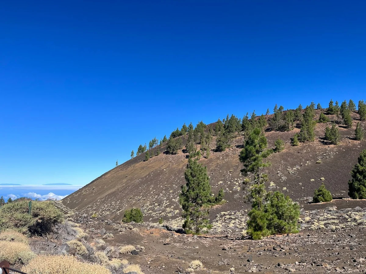 AmtCanarias's tweet photo. Santiago del Teide en 3 miradores imprescindibles:

🌄 Mirador de Cherfe
🌄 Mirador de Los Poleos
🌄 Mirador Abelardo

La belleza de Santiago del Teide también se cuida. Mantén limpio el entorno, respeta la flora y fauna, y lleva contigo solo recuerdos y fotografías. https://t.co/jMmTVqy7T7