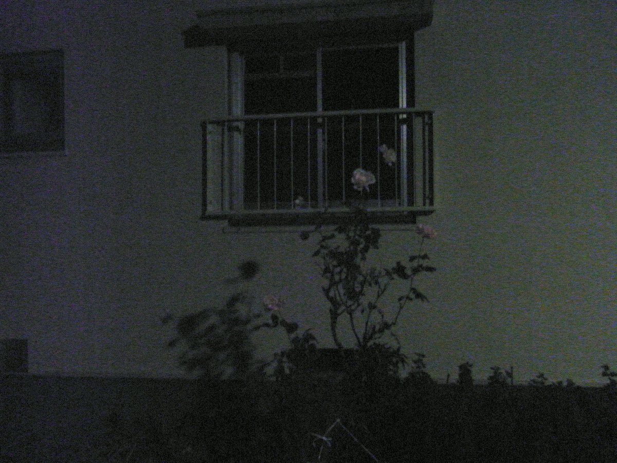 wl0kj's tweet image. 