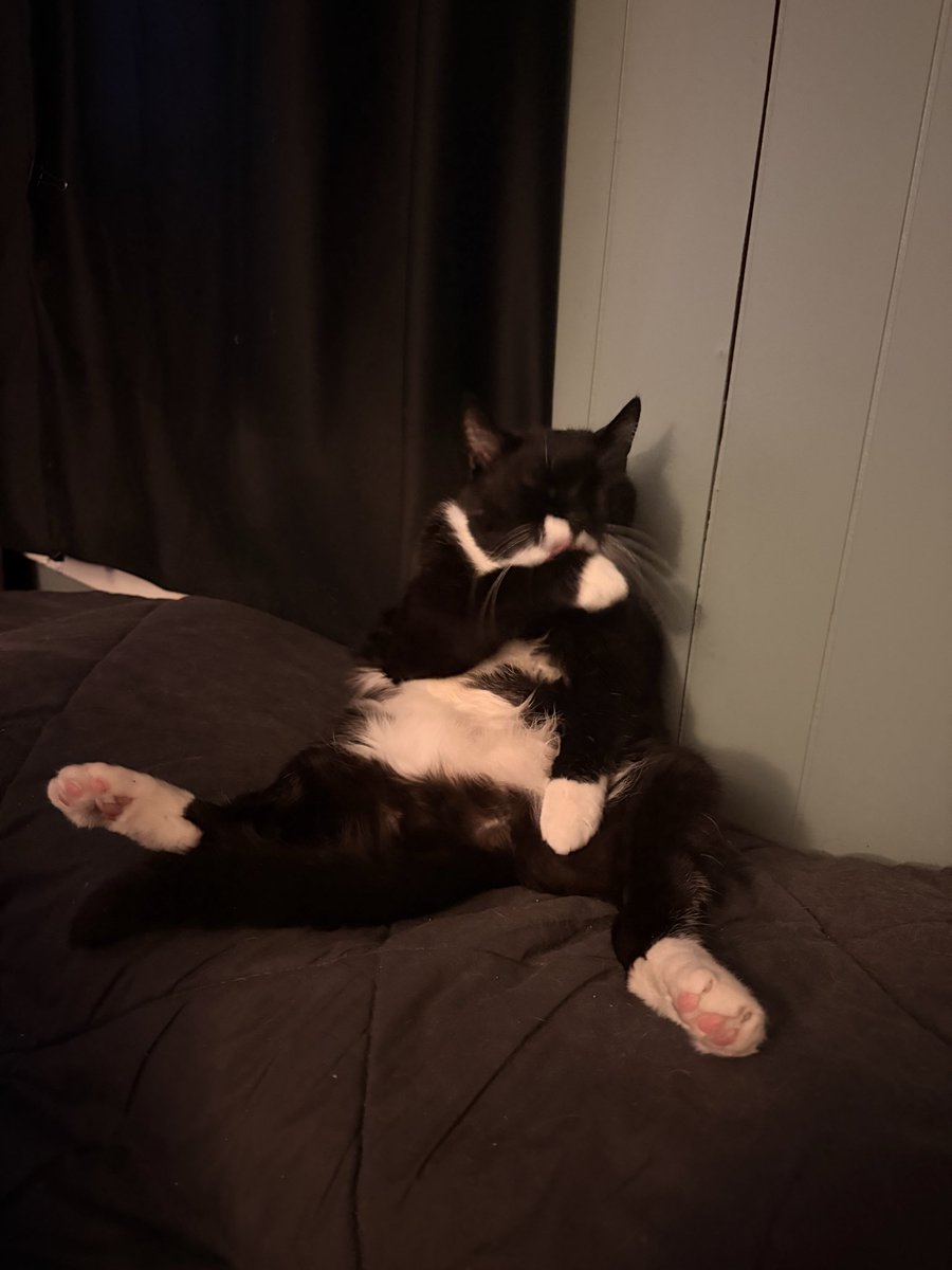 TechnoBased's tweet image. He has no care in the world lol