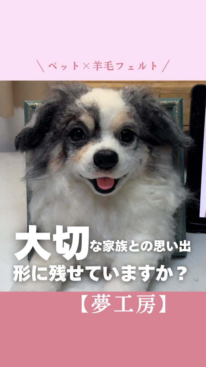 ペット夢工房 | 真心を込めた羊毛フェルト (@yumekoubouyou) / Posts / X
