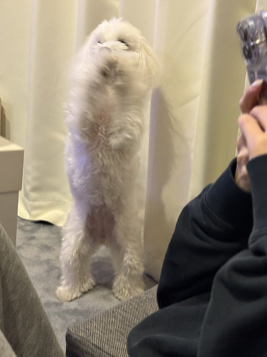 信じられない背筋の持ち主
