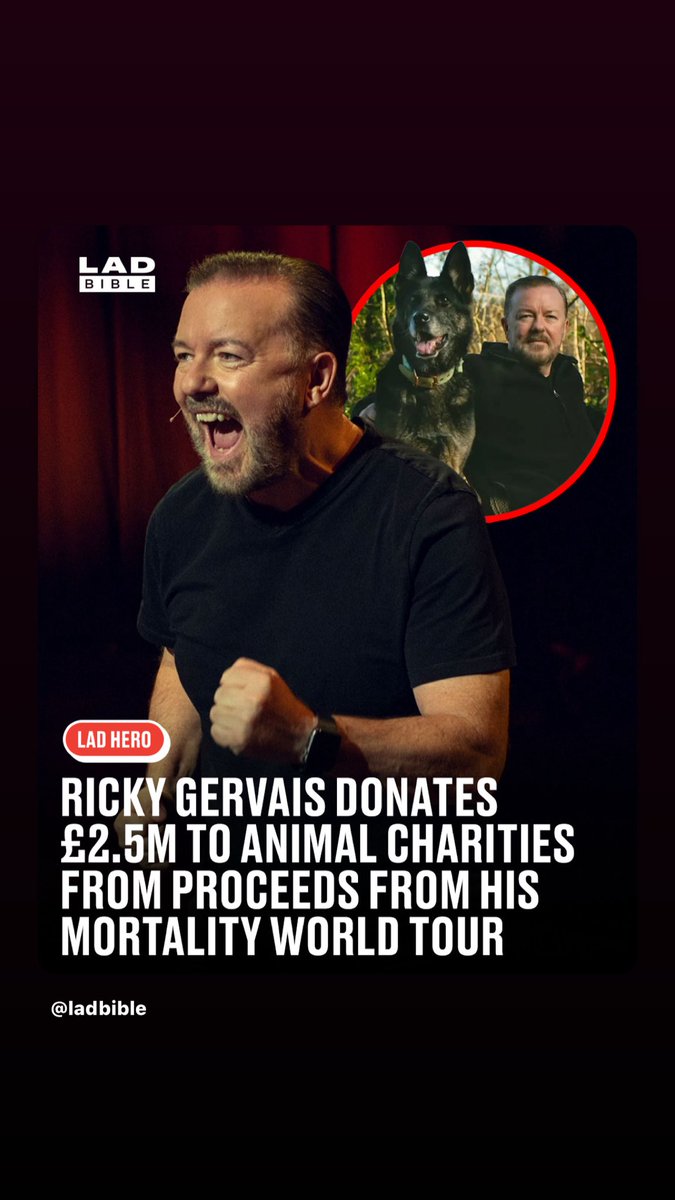 Michelle Collins tweet media