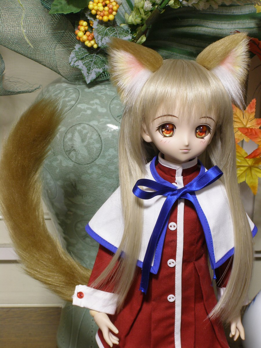 『秋カラー』猫耳ＢDX茶金色＆尾ST４０ｍｍ毛足
即決４０００円　※尾が磁石無しSTになりました。
auctions.yahoo.co.jp/jp/auction/v12…