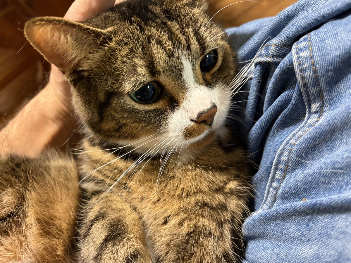 大日本バクロ党 (@bbbbbbb82637307) / Posts / X