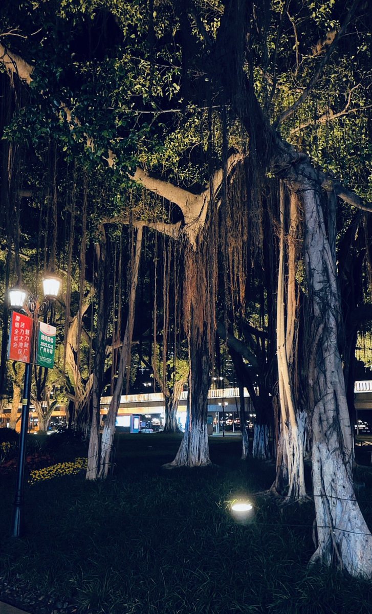 Roaa ♊️ ~ tweet media