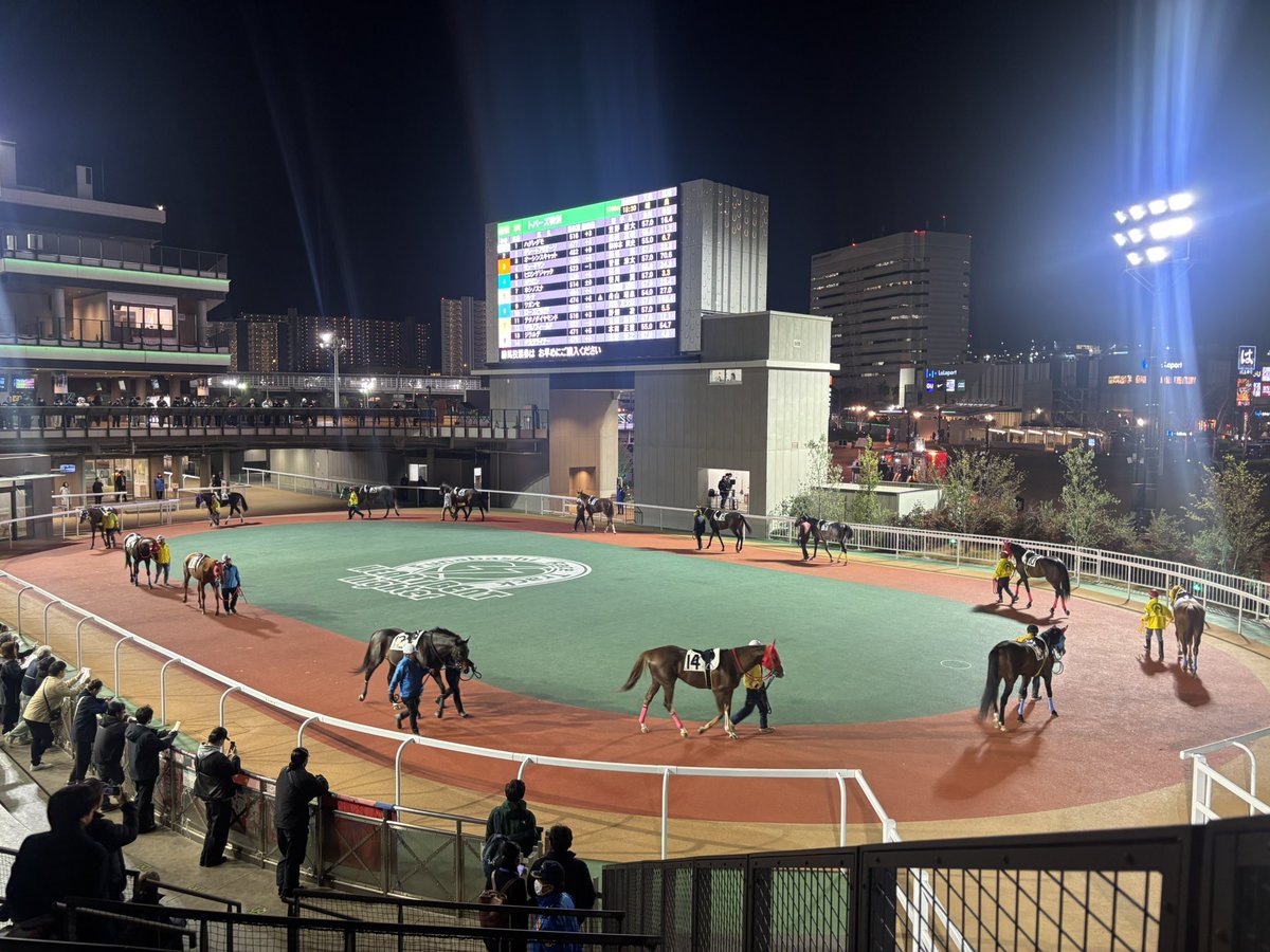 初めてきた
何も分からん