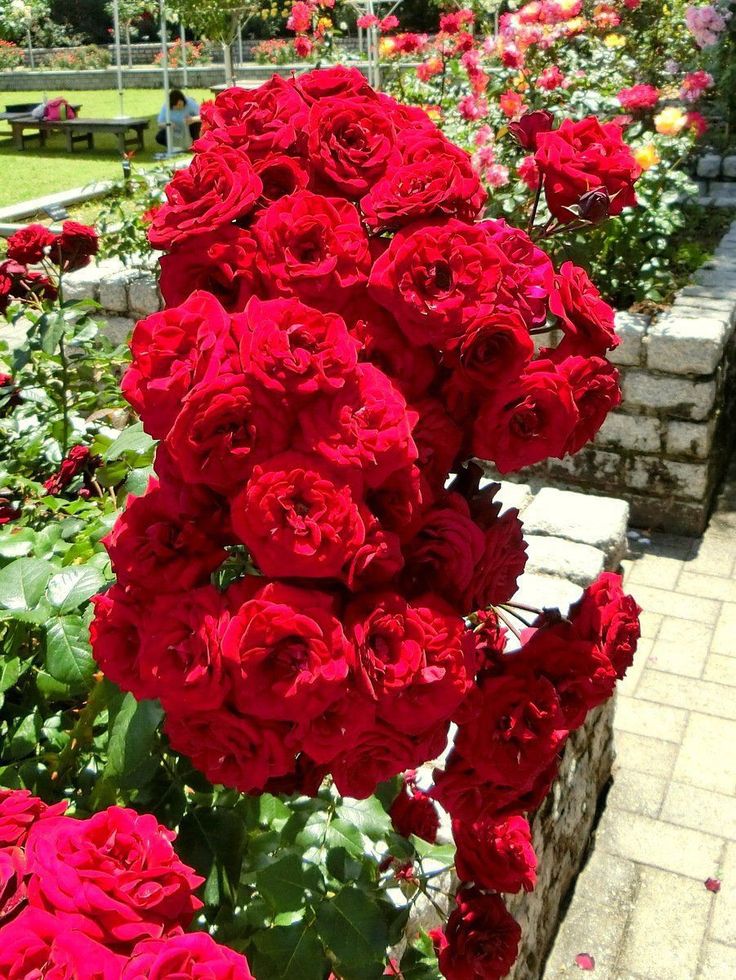 greenery897's tweet photo. https://t.co/FuOHl4bQgp