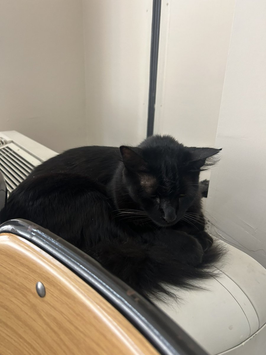 Mental yorgunluk aynı düzeyde…