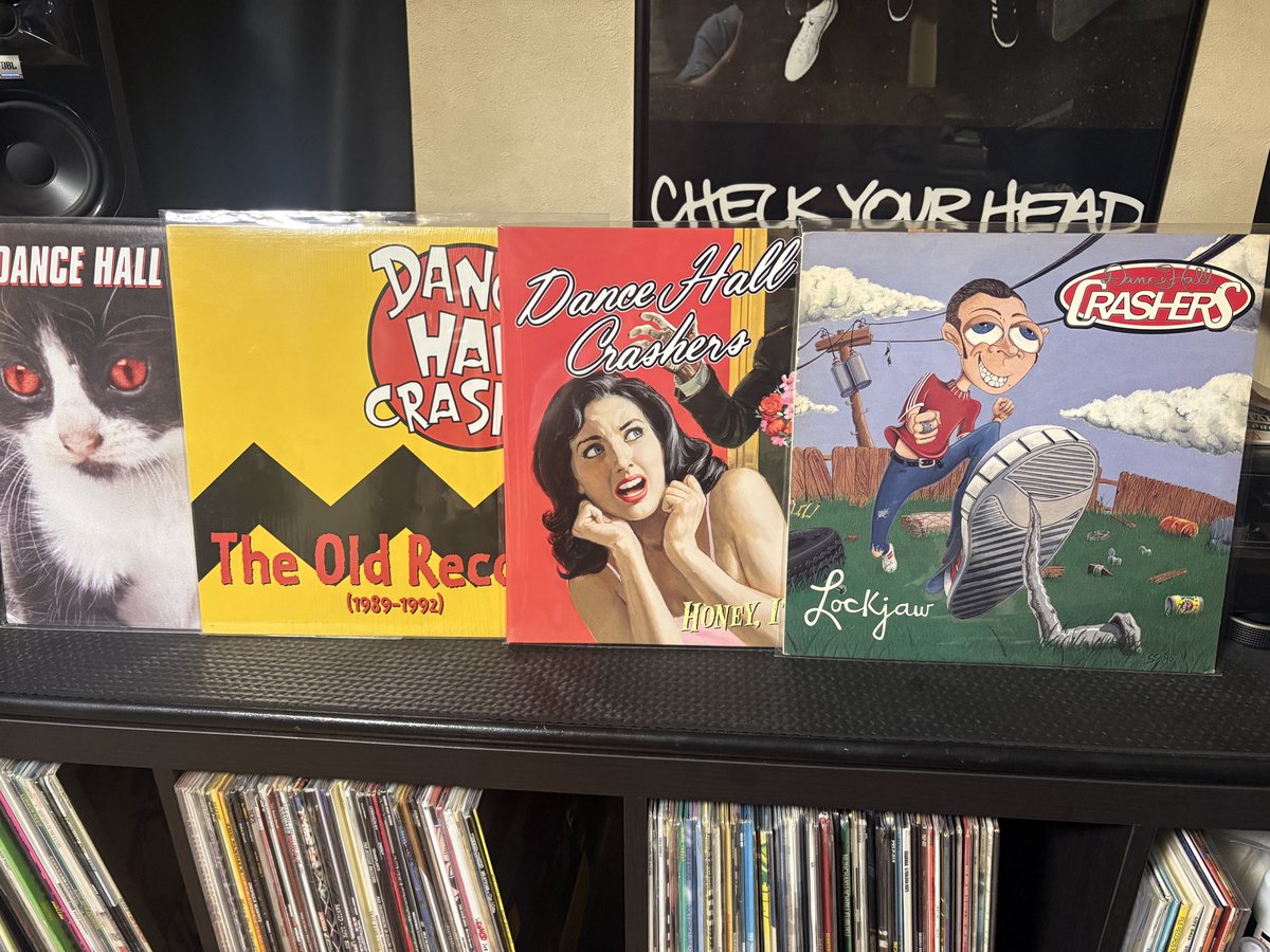 DANCE HALL CRASHERSのLIVE音源以外のLPやっと全部揃ったぁ すぐに集め