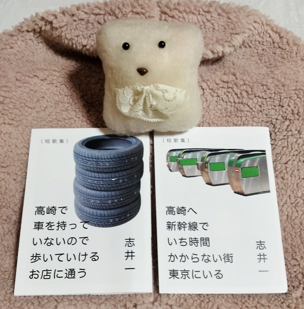 今年9月23日に入手した志井一 <a href="/c100162/">志井一</a> さんの短歌集
「高崎で車を持っていないので歩いていけるお店に通う」 
「高崎へ新幹線でいち時間かからない街東京にいる」
を読む。
前者では実験的な炭酸の歌、
後者では押さえたことを忘れない歌
に惹かれた本日でした。

うちの歯と写真を撮りました。