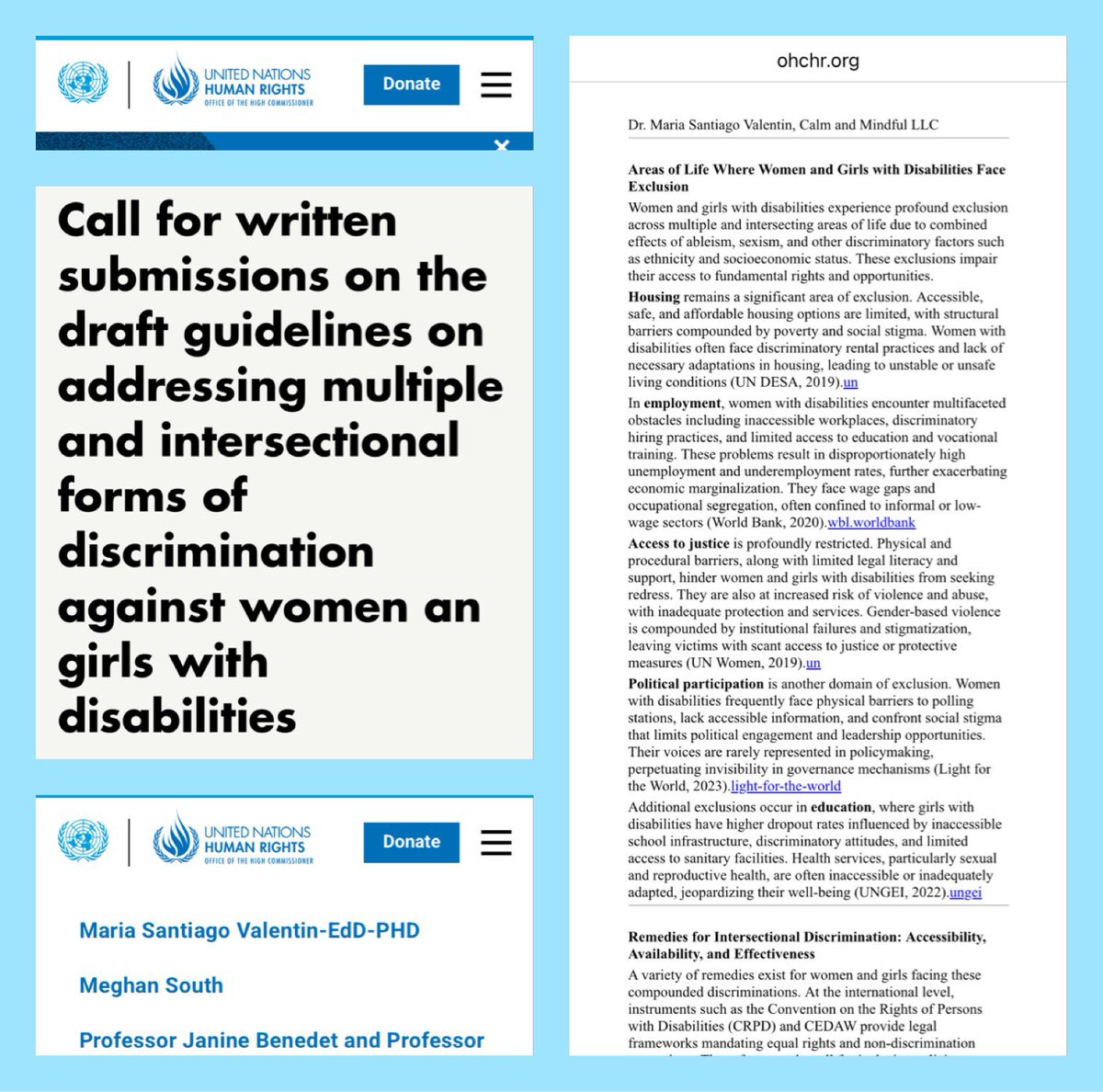 To read the full statement submitted go to: ohchr.org/en/calls-for-i…