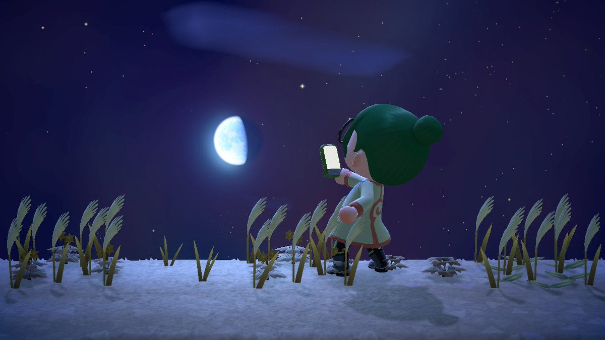 동숲에서 살고싶다