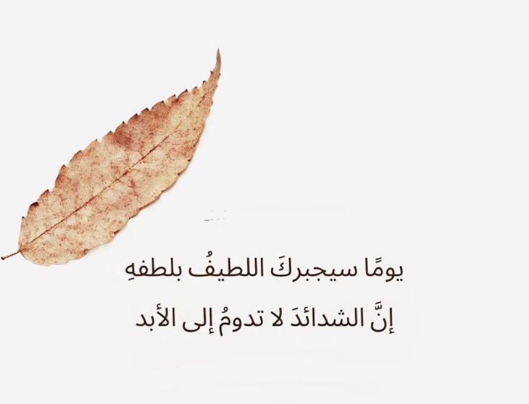 Abu Mohamed (@mod89981) on Twitter photo 