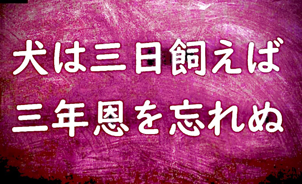 يقول المثل الياباني:"أطعم الكلب لثلاثة أيام وسيكون شاكراً لك لثلاث سنوات".

هنالك نماذج رائعة لأشخاص في الوفاء حتى بعد مرور السنوات تبعث في الإنسان مشاعر التقدير والاحترام لهذا النبل والأخلاق العالية.وبالمقابل فهنالك نماذج لأشخاص تنسى المعروف بسرعة وتنزع الأقنعة وتظهر على حقيقتها