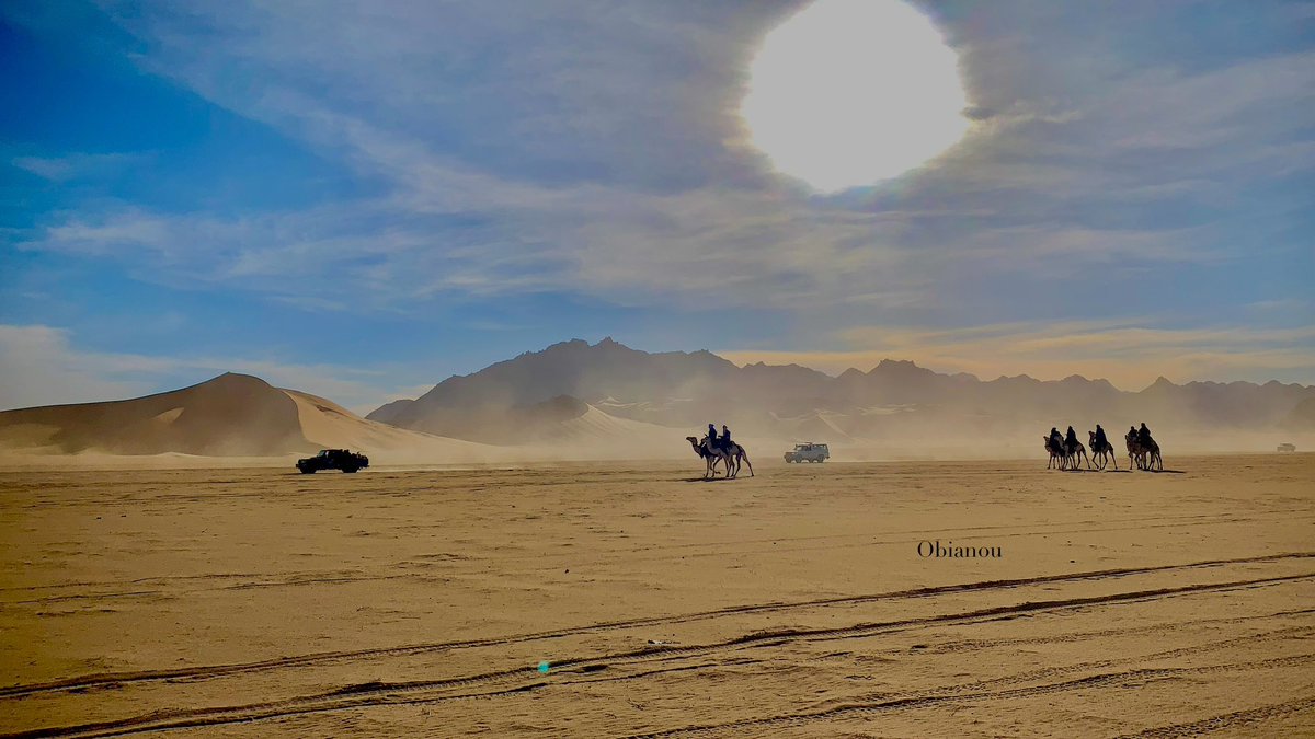 8. Fin 
#festivaldelaïr #Iferouane2025 #VisitAgadez #Agadez🇳🇪

Bianou Ousmane